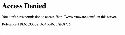 Access denied-vmware.png